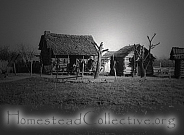 HomesteadCollective.org