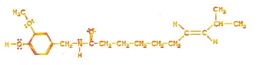 The Homocapsaicin Molecule
