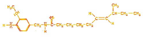 The Homocapsaicin II Molecule