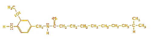 The Homodihydrocapsaicin Molecule