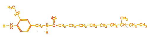 The Homodihydrocapsaicin II Molecule