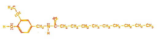 Vanillylamide of decanoic acid