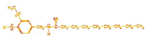 Vanillylamide of nonanoic acid