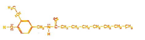 Vanillylamide of octanoic acid