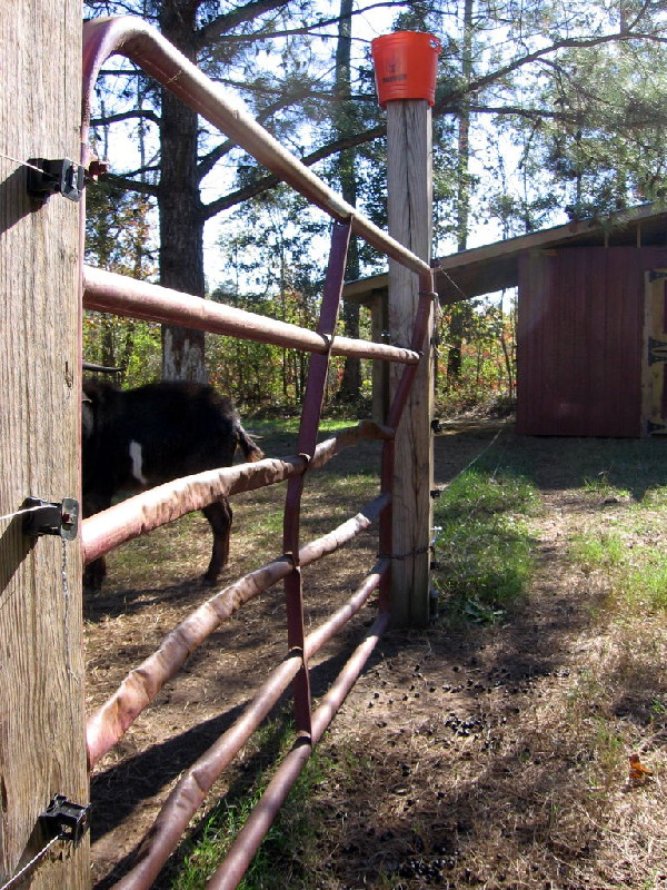 goat_gate_110710_b.jpg