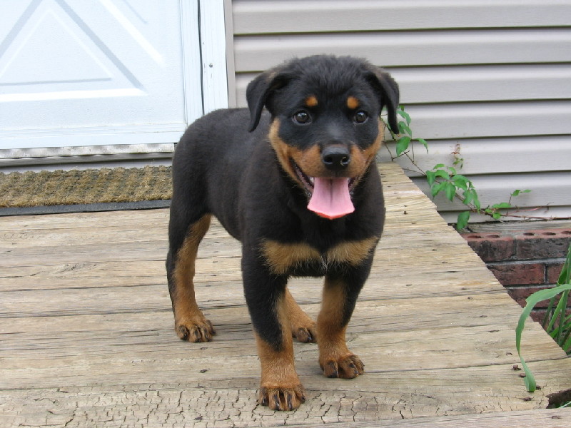 freyja_052612_a.jpg