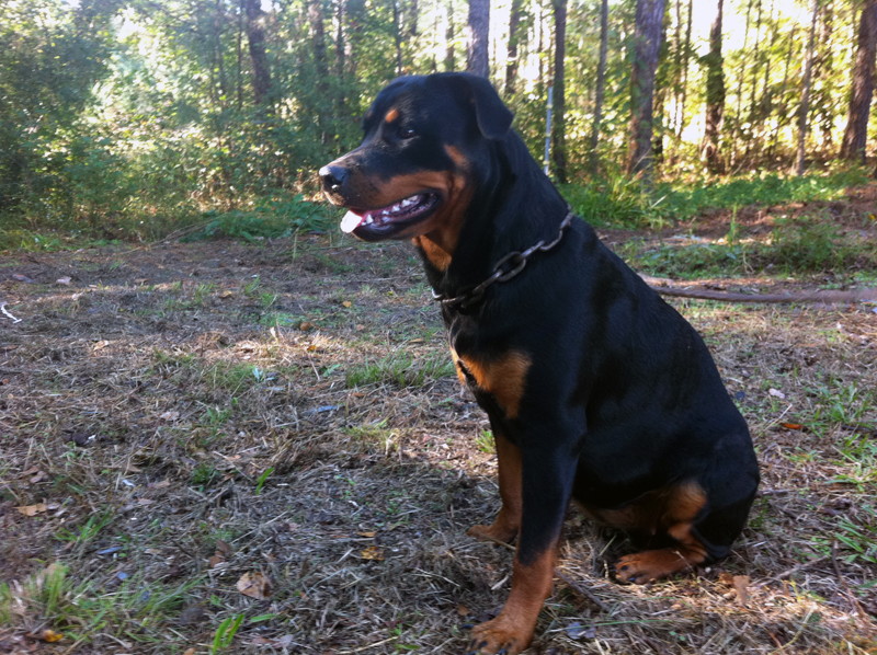freyja_102112_a.jpg