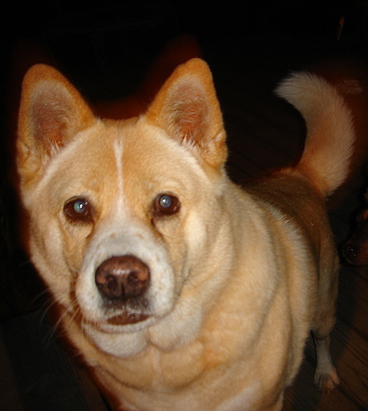 kira_052508_a.jpg