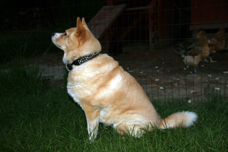kira_070410_c.jpg