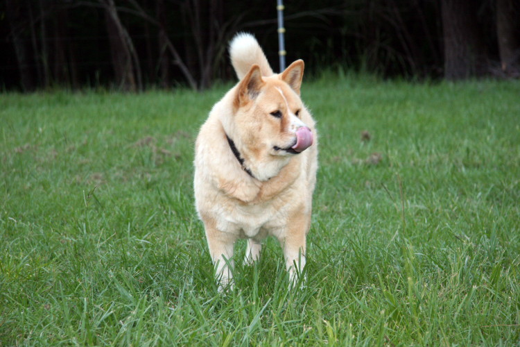 kira_070410_d.jpg