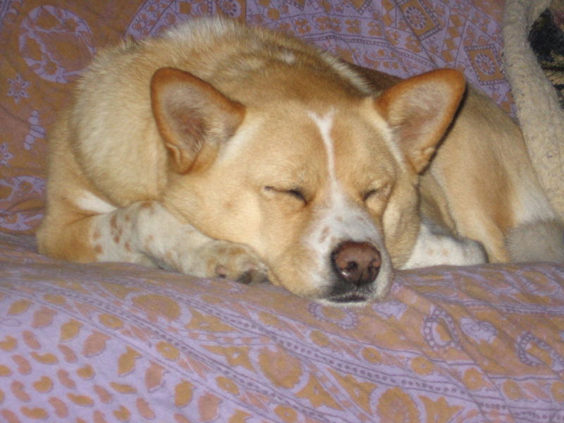 kira_b022805.jpg